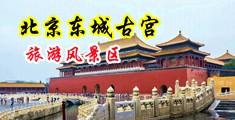 日B视频长中国北京-东城古宫旅游风景区